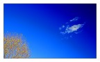 Light Autumn