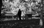 Al parco