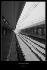 Il giorno in cui nevic