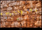 Colori