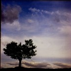 hasselblad 500cm