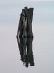 ...stumps...