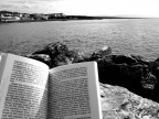un libro in riva al mare.... un libro in riva al mare....