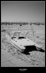 End Of Summer II
