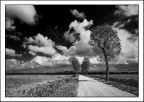 Una strada..tra le nuvole