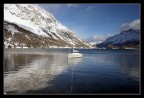 engadina (2)