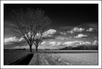 Cuori in inverno...