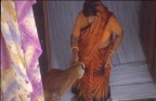 cosa comune a pushkar