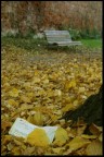 Finisce una storia d'amore a distanza in una giornata  fredda di fine autunno.