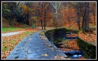Pace nel Parco