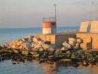 timido sole
