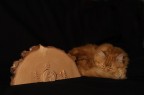 gatto...di natale