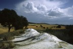 crete senesi