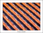 La discesa della temperatura crea le prime gelate nella mia zona.
Un tetto all'alba.