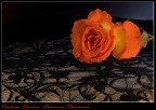 Per la mia "maestra" di Flamenco, unica e insostituibile.....
per la mia Stellina
