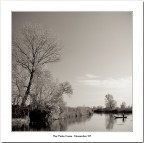 Fiume Mincio #1