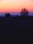 alba nei campi
