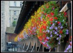 Lucerna