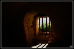 sbarre sul verde