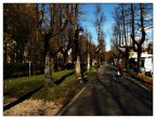 Il Viale del Tramonto... a mezzogiorno