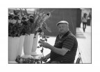 Il Fioraio