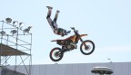Free Style
