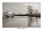 Fiume Mincio #3