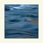 Fluidit