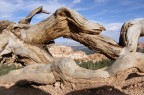 Bryce Canyon USA
Olymous SP 550