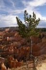 Bryce Canyon USA
Olymous SP 550