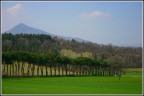 La primavera incalza
