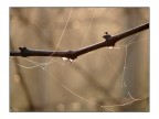 La natura intorno la mia casa.