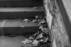 Autunno