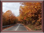 Autunno