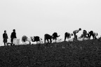 uomini al lavoro