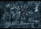il giardino dell'angelo suicida