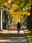 Autunno alle Piagge
