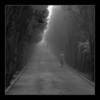 Il viale dell'addio
