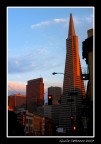 If You are Going to San Francisco...