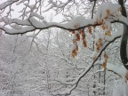 Colori sulla neve