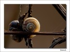 Collezione autunno/inverno...