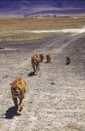 TANZANIA