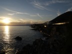 nervi