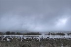 atmosfera