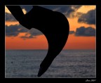 finche c  luce
