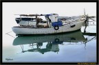 Riflesso