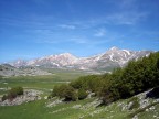 Nel silenzio 3