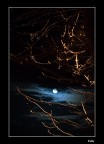 Luna Autunnale