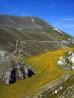 La strada che ogni giorno percorrerei