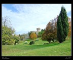 volterra